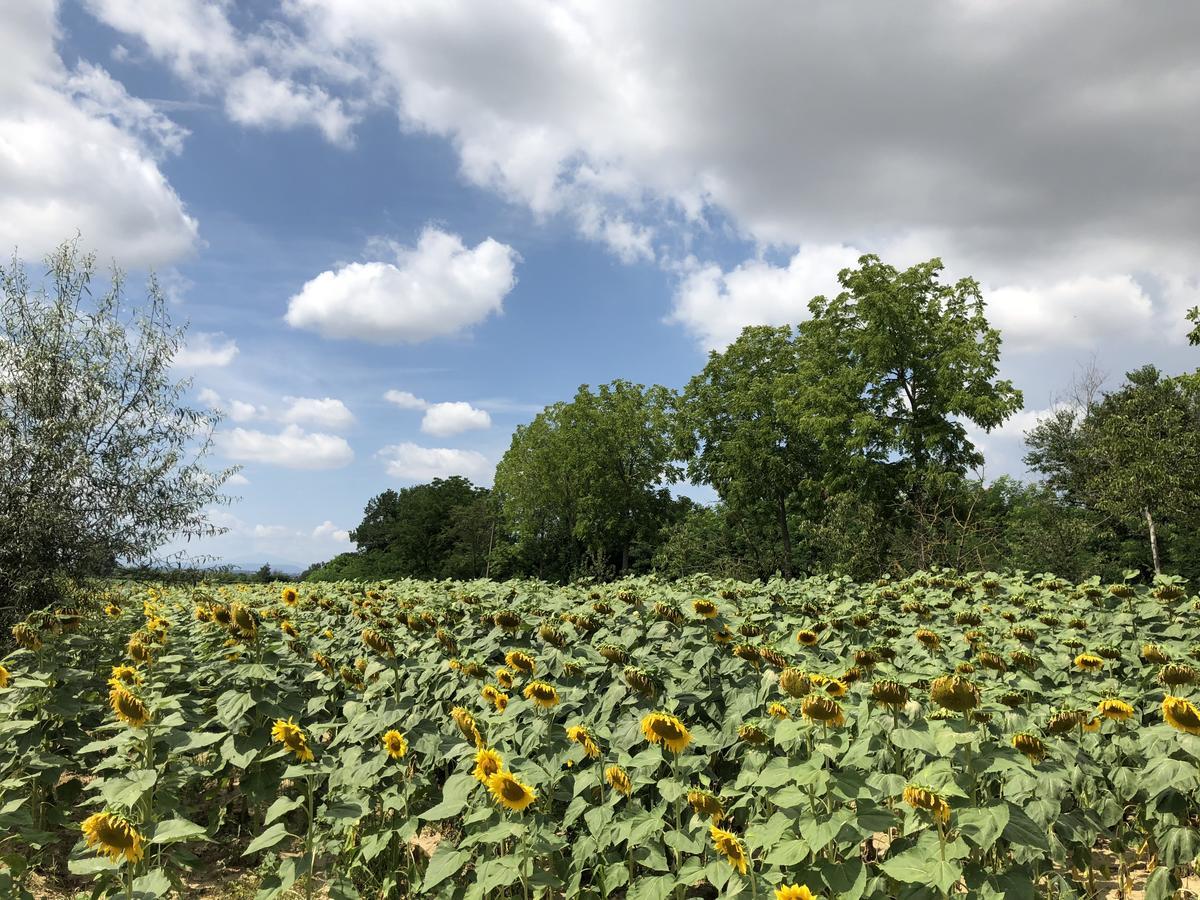 Séjour à la ferme La Renaia *